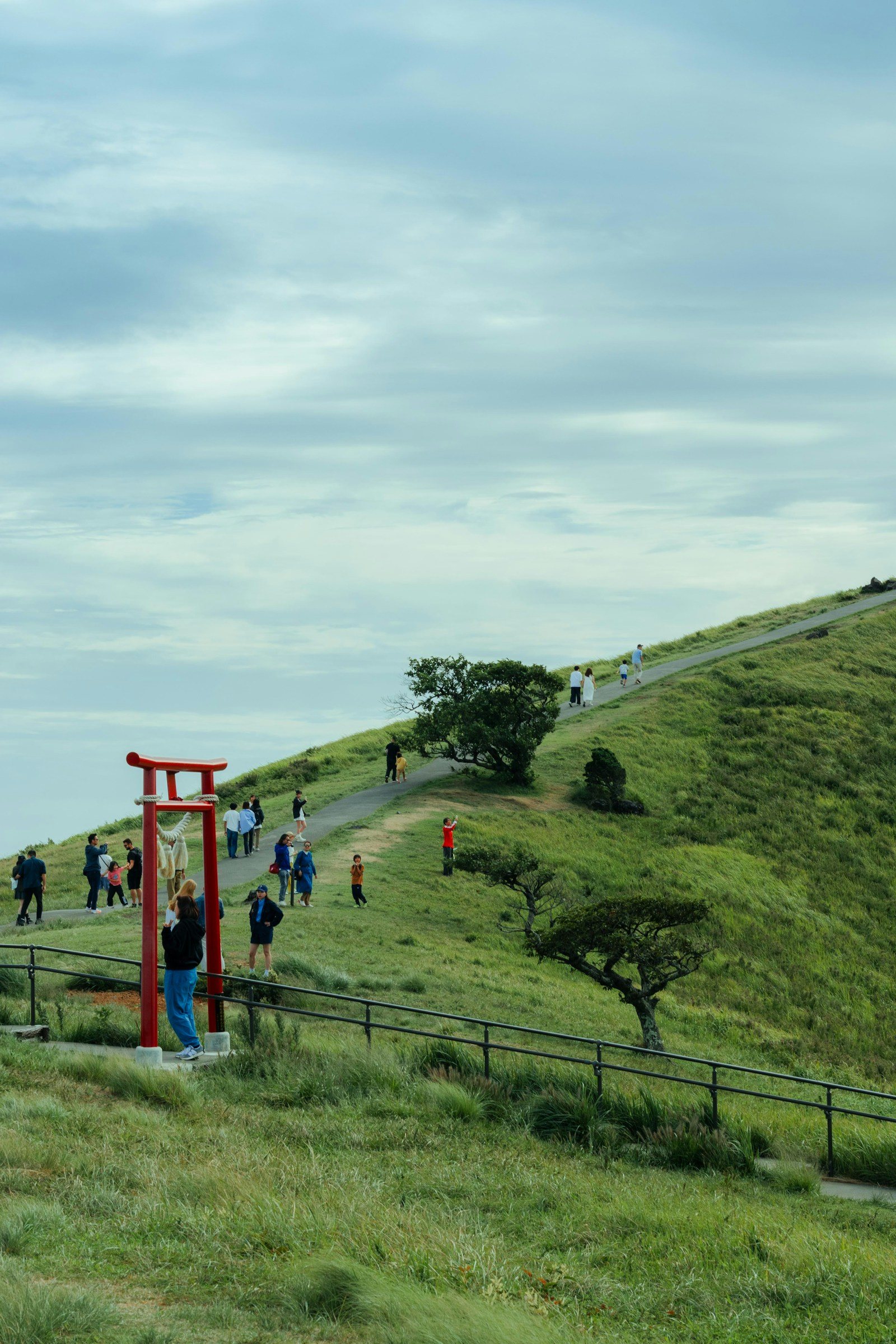 高山の登山道を歩く登山者