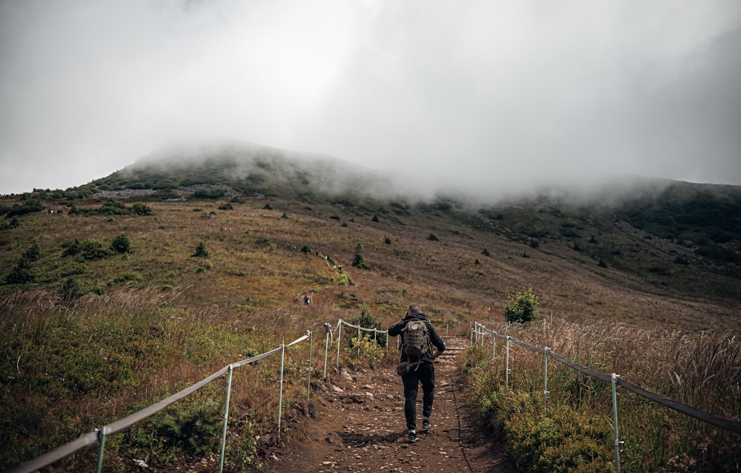 穏やかな山道を進むハイキングコース