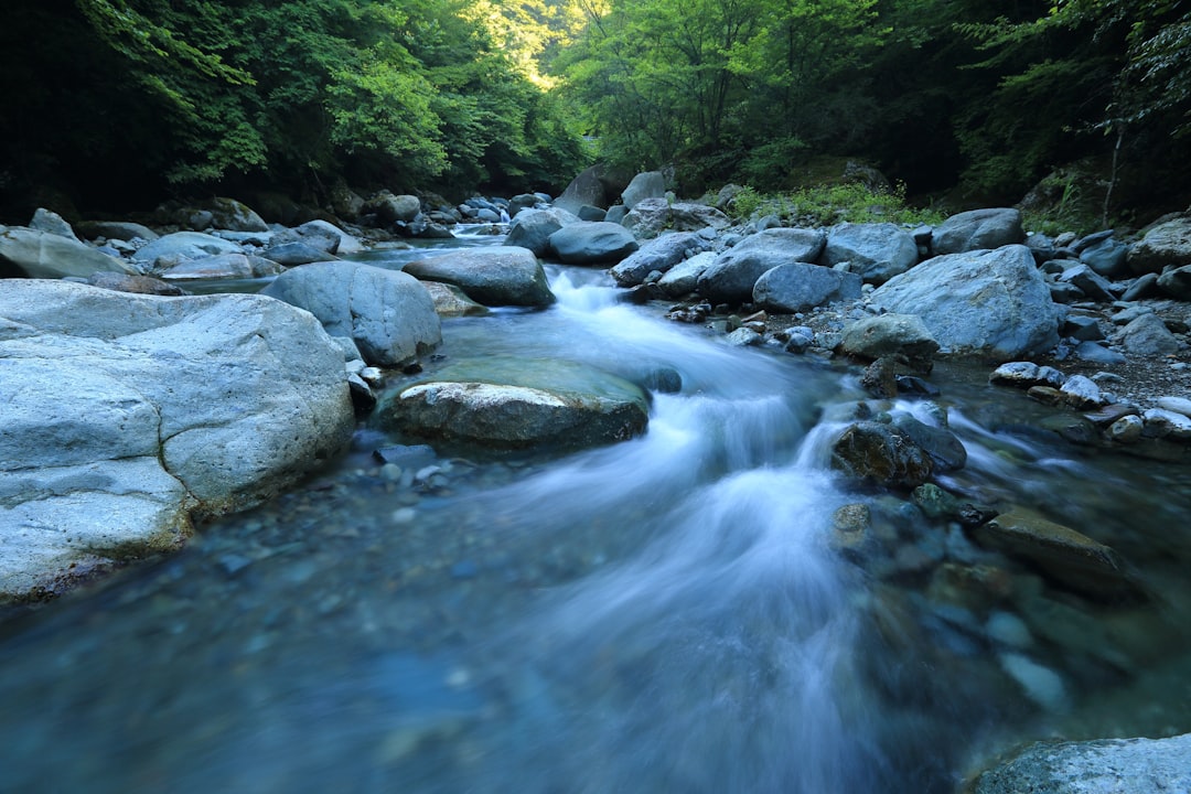 勢いよく流れる山の渓流