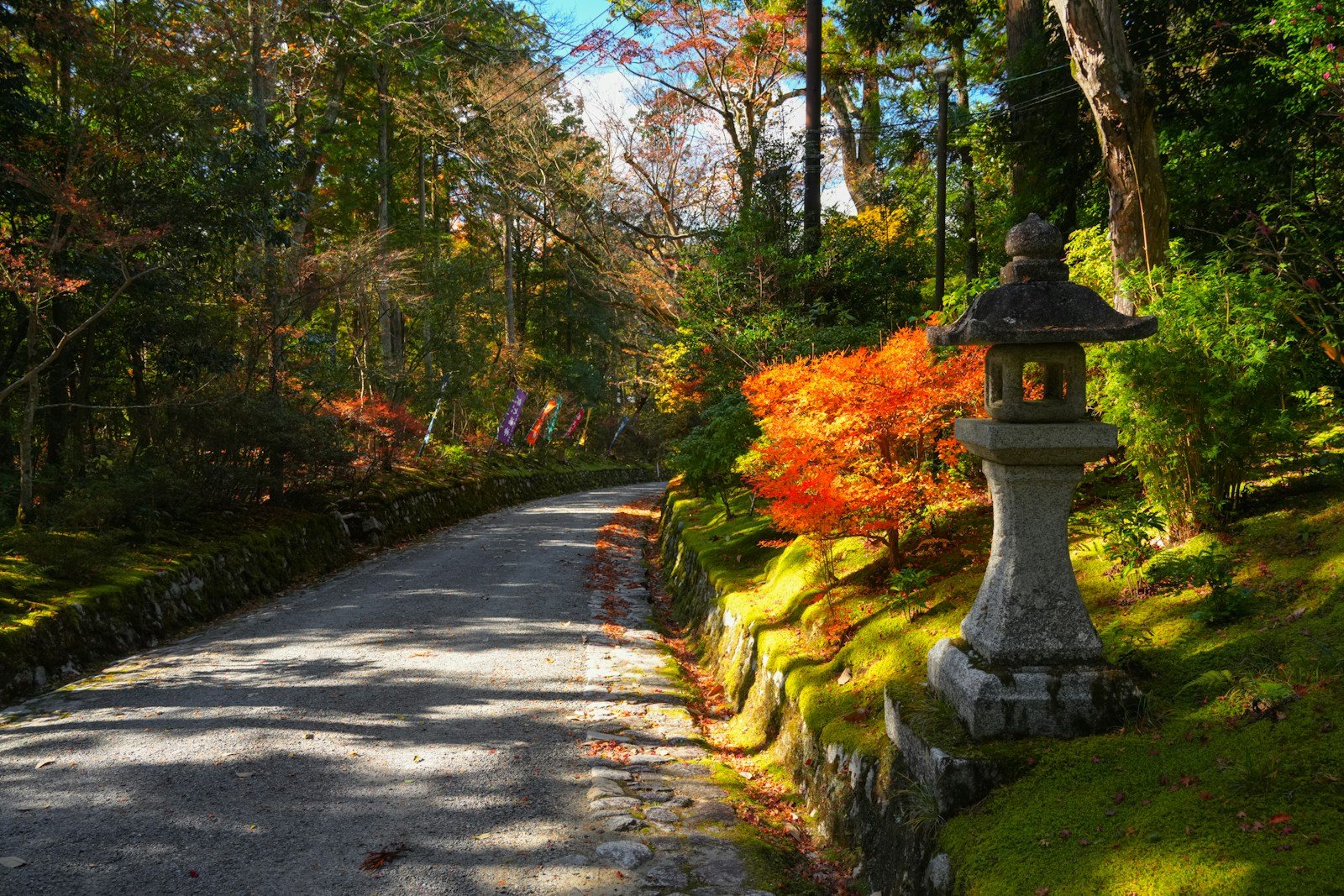 中低山の紅葉の名所の色づき