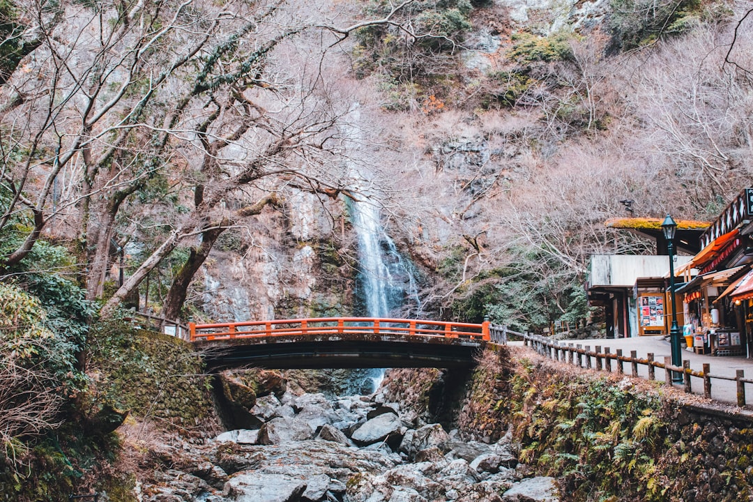 三頭大滝を望む森の橋