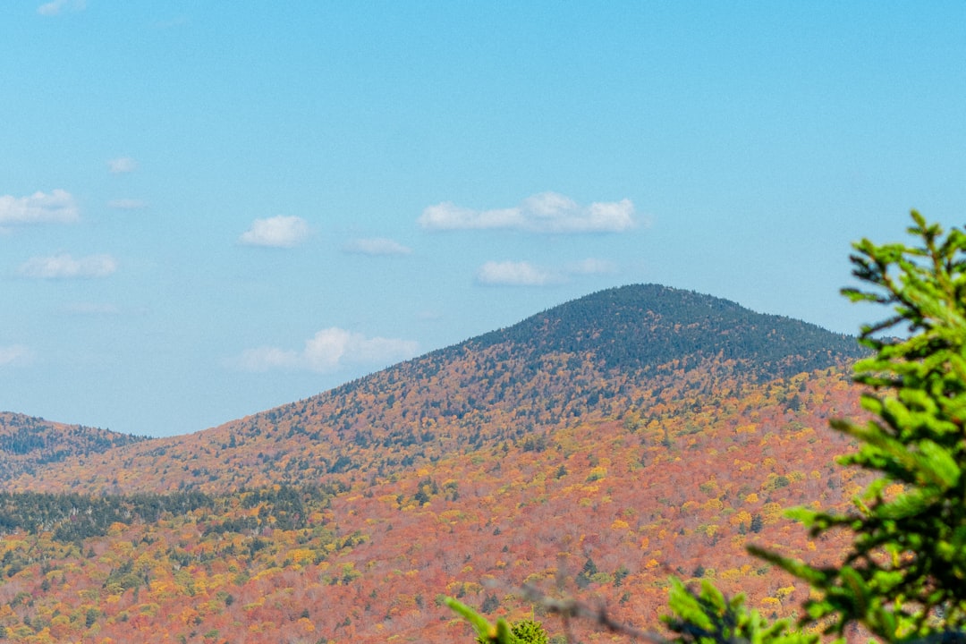 山の紅葉のイメージ