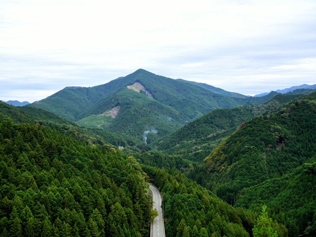 丹沢山系の緑豊かな山並み