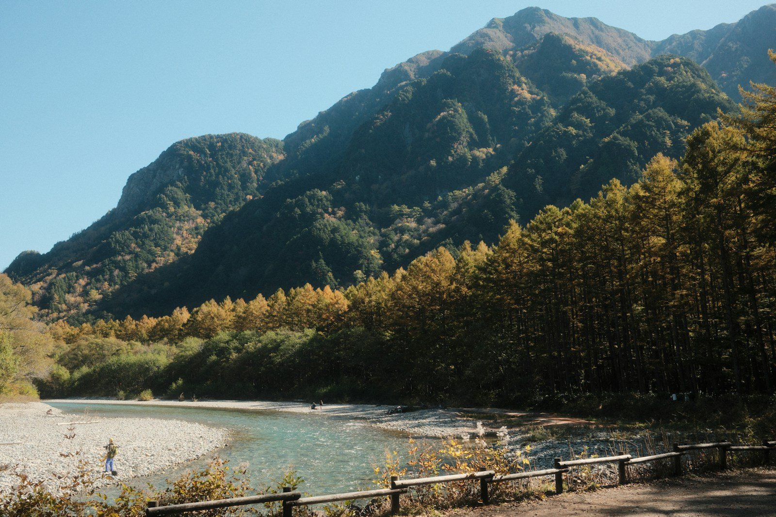 11月に見頃を迎える低山の紅葉