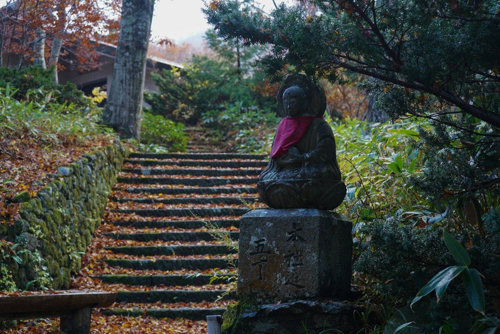 11月の登山で早まる日没と夕方の森