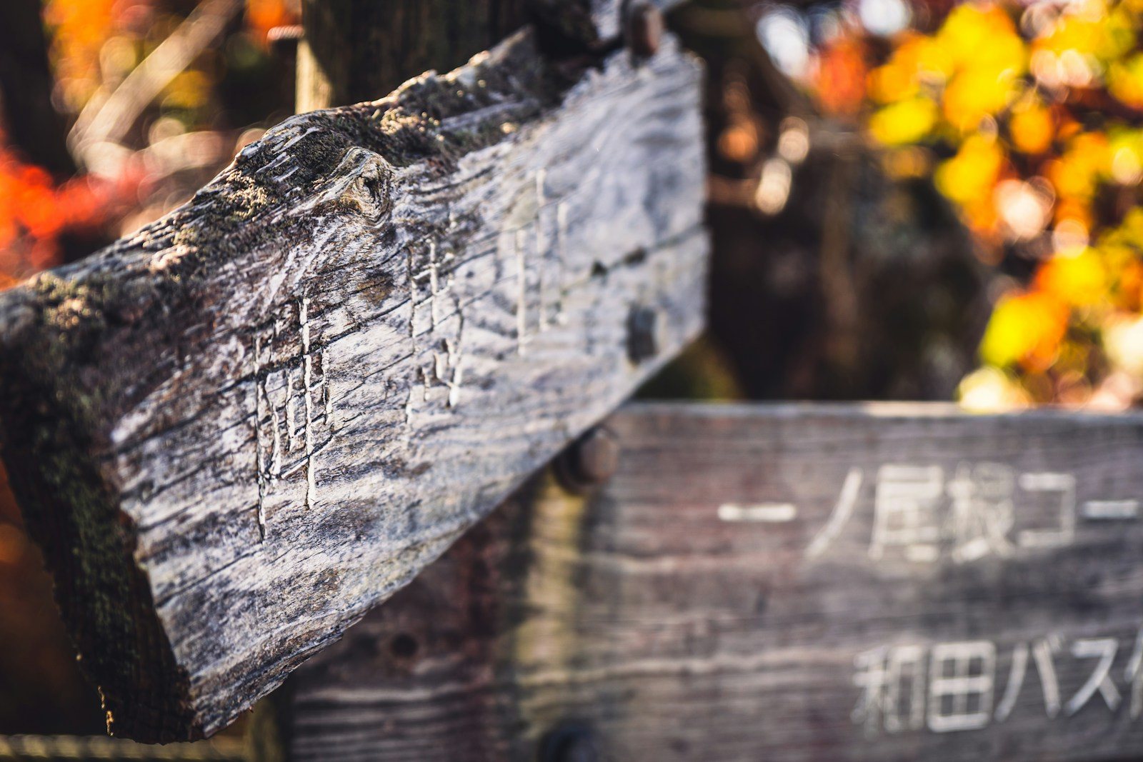 11月の登山道に立つ道標