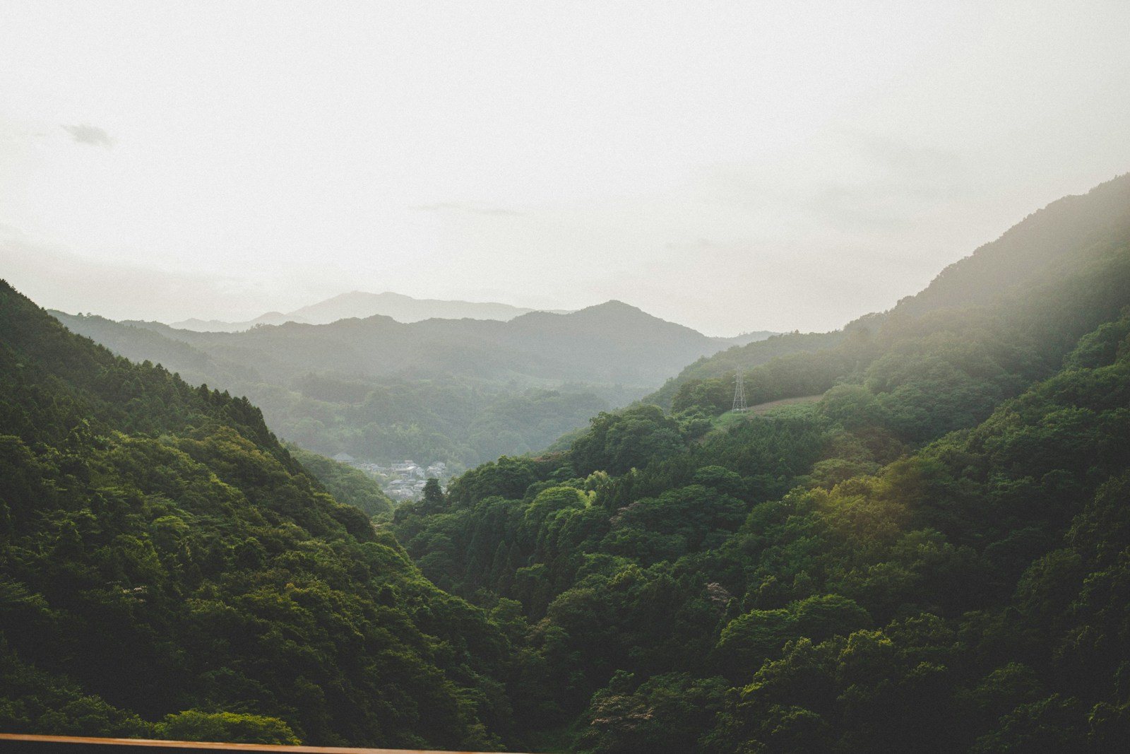 お盆の登山で見上げる夏の山