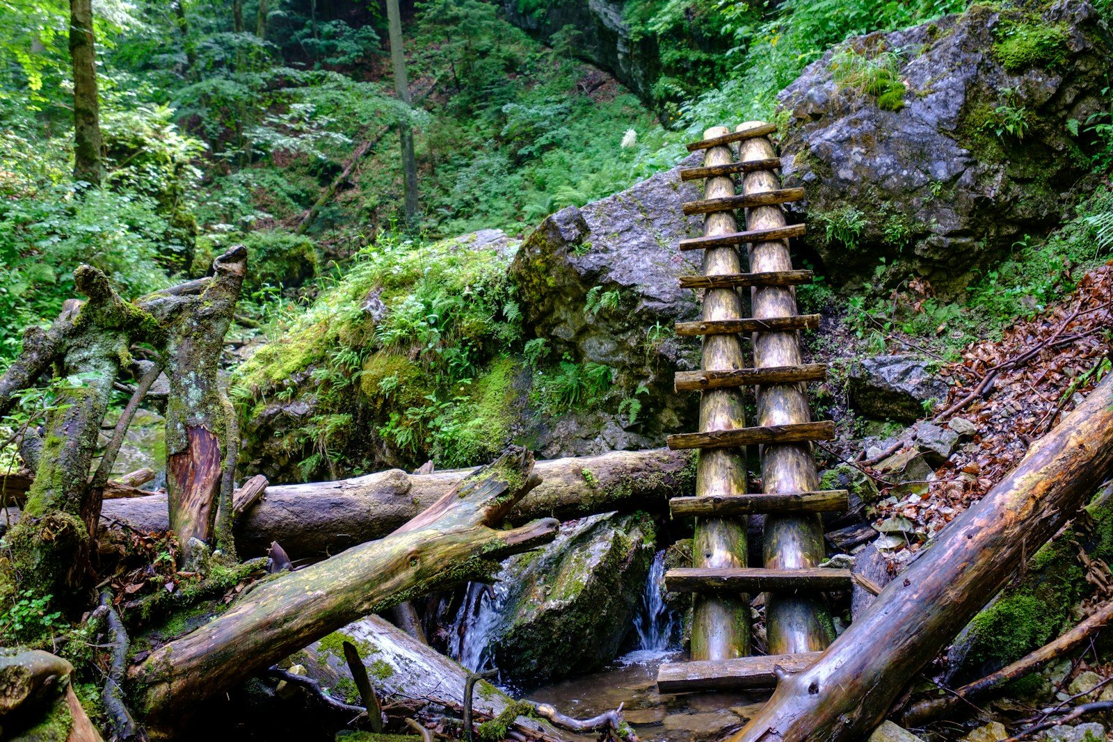 森の中に建つ山小屋