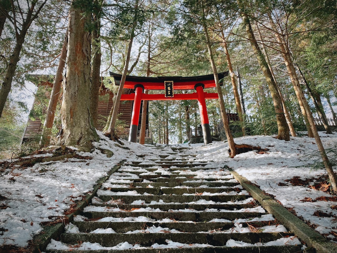 山あいにたたずむ神社の社殿