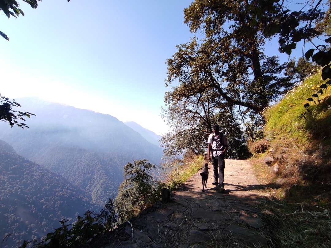 狭い登山道を歩くハイカーと山の景色