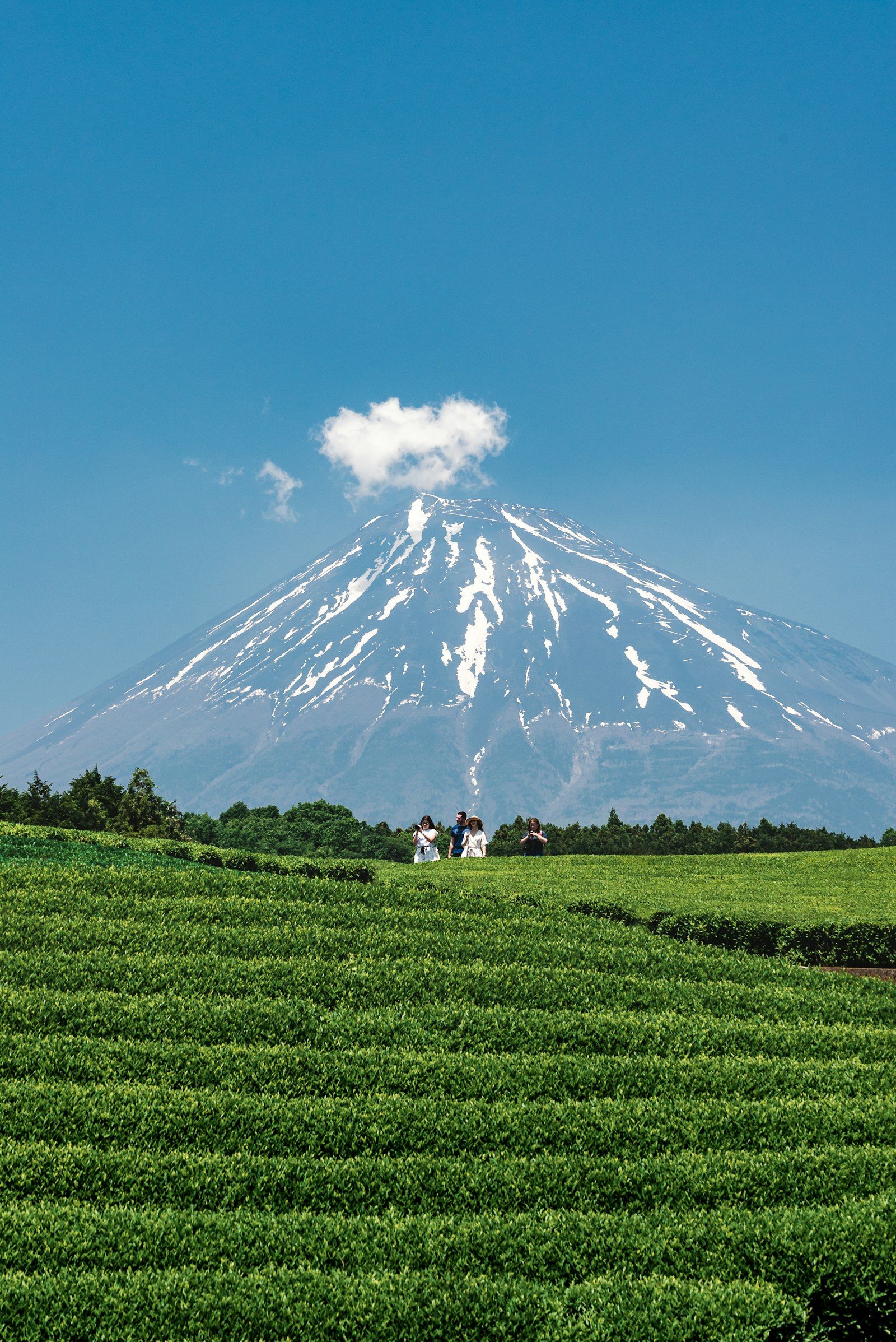 上高地と北アルプスの絶景
