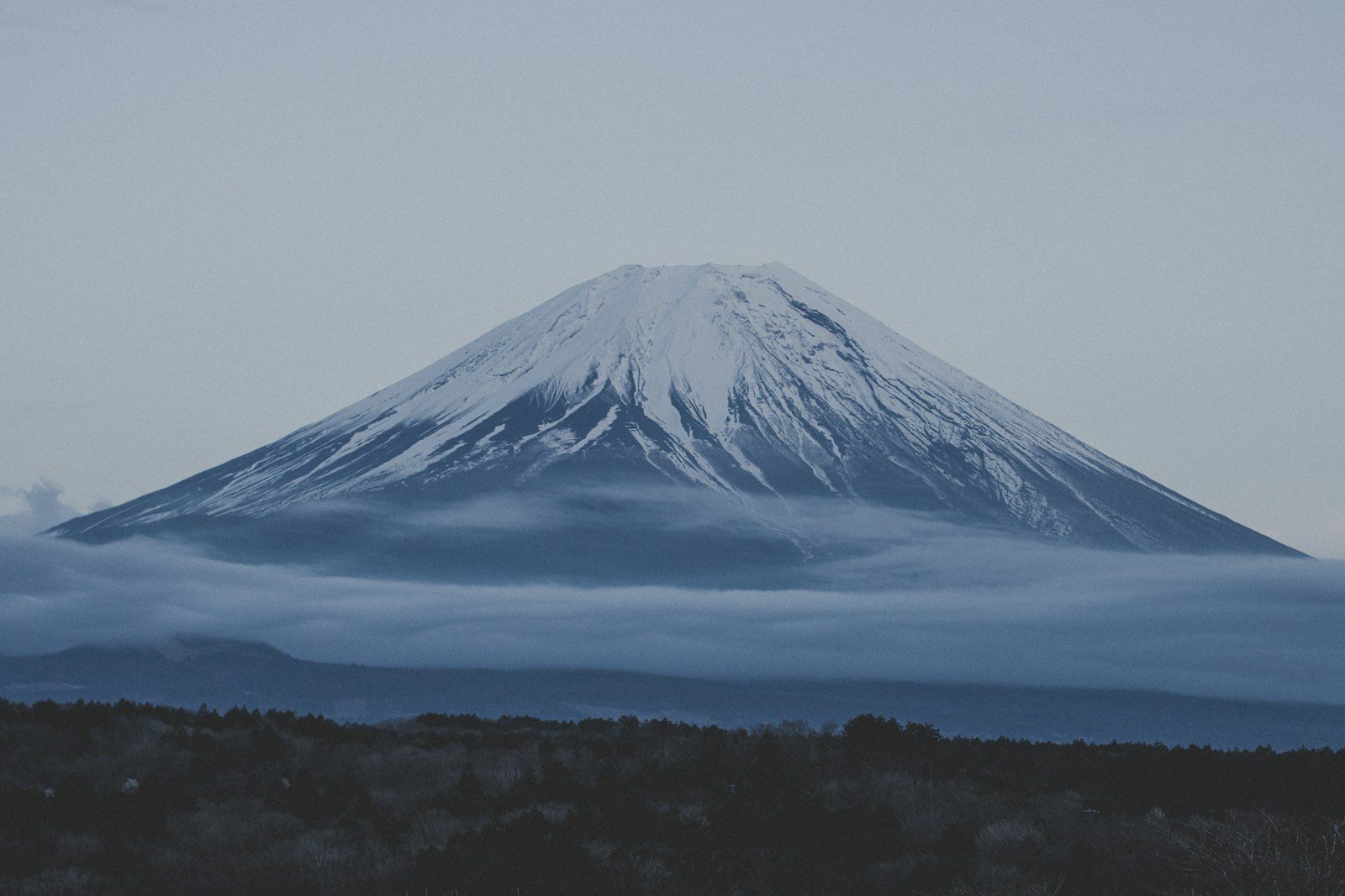夏の北アルプス登山道