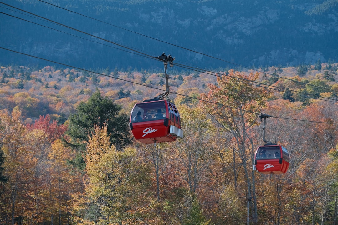 ゴンドラで登る紅葉の山