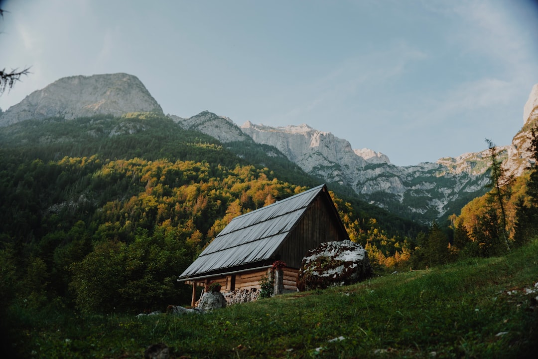 森の中の山小屋と山の景色