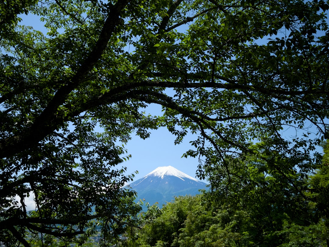 富士山と河口湖の眺め