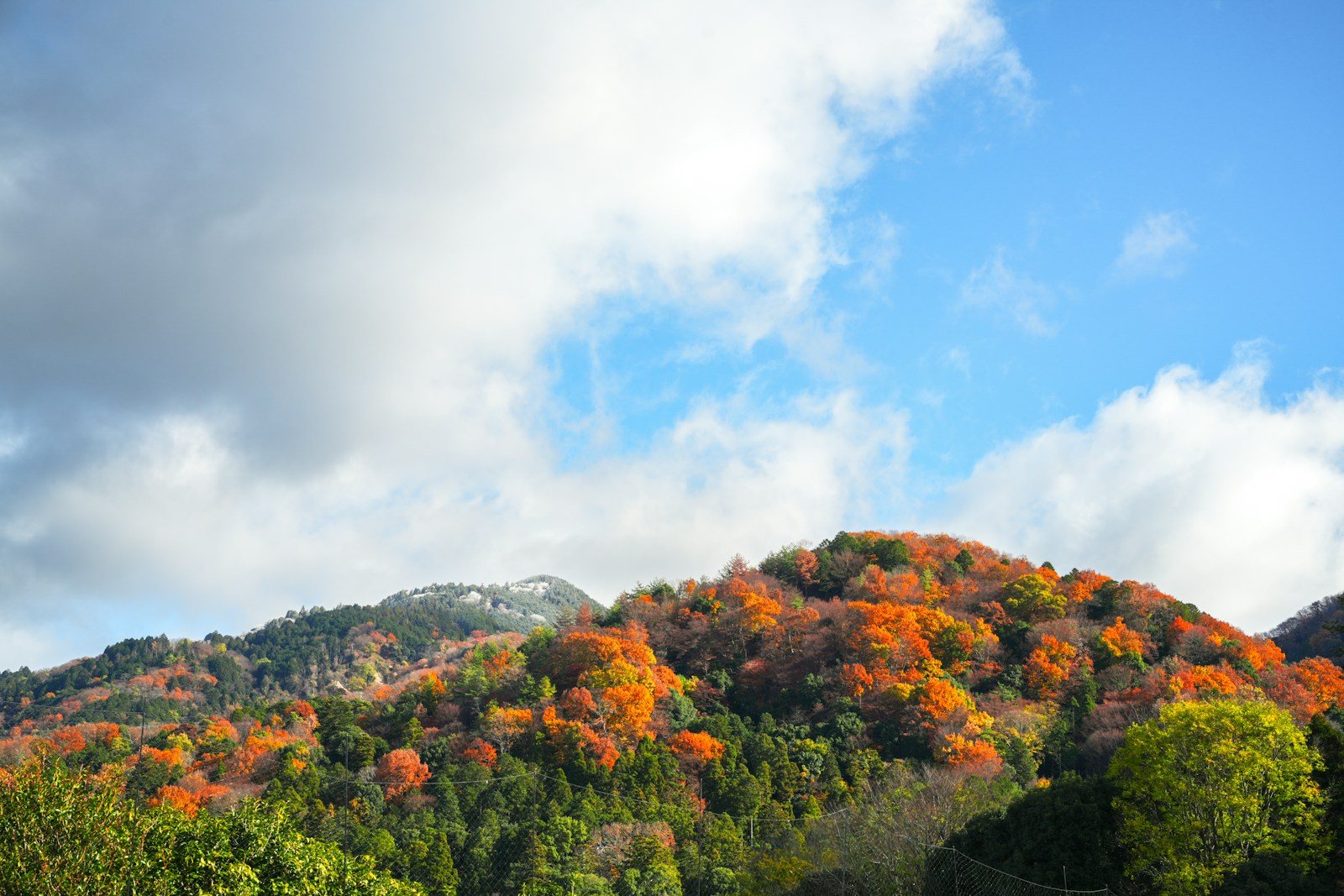 安達太良山の紅葉をイメージした山腹の風景