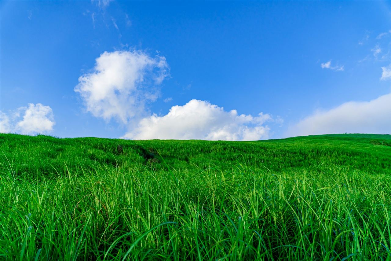 草に覆われたなだらかな丘と雲