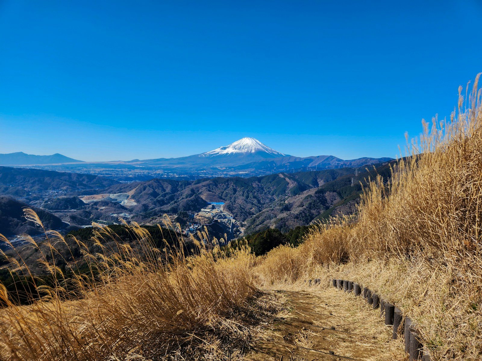 登山口から続く山道