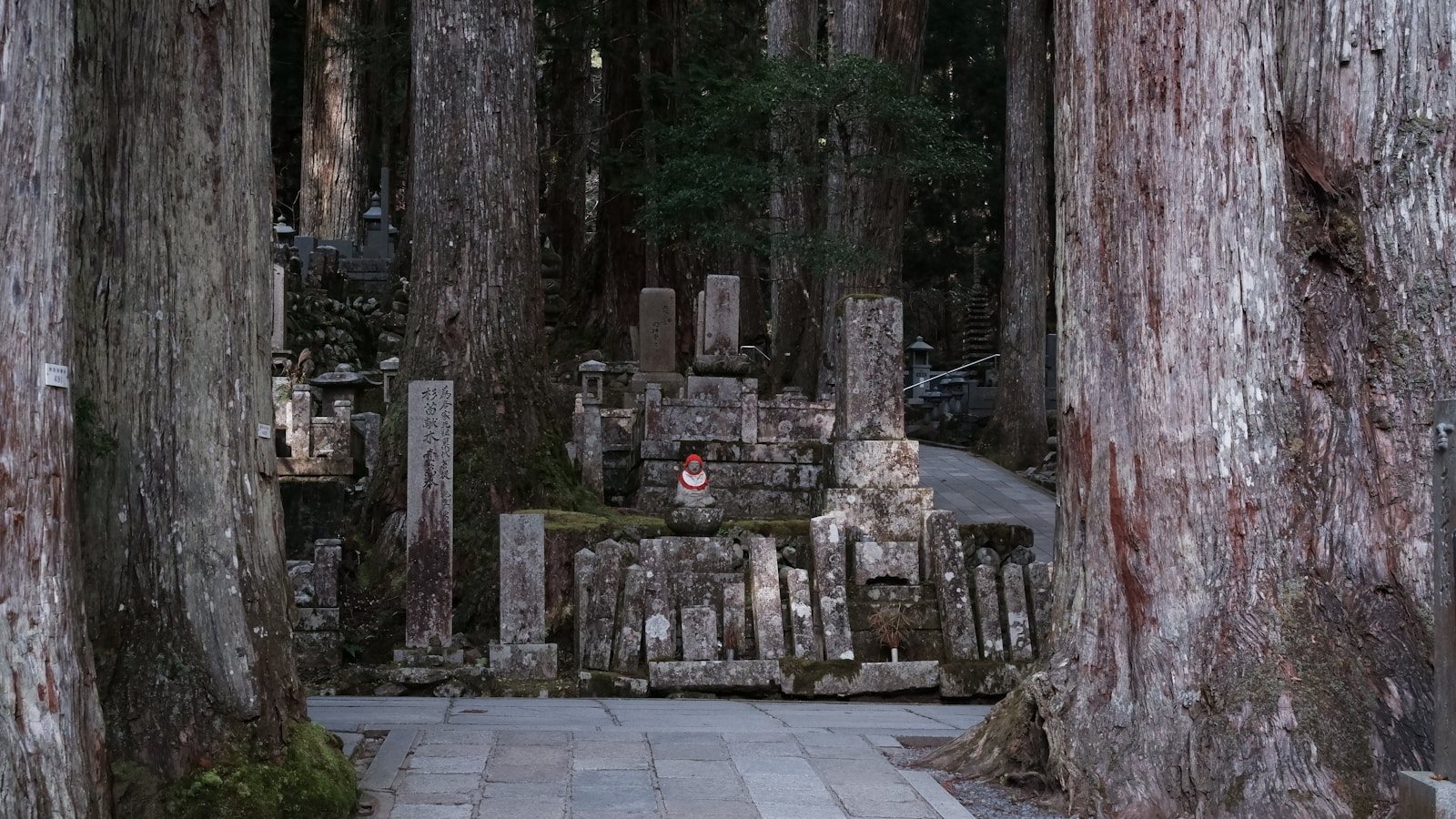 森の中に並ぶ石塔と石像