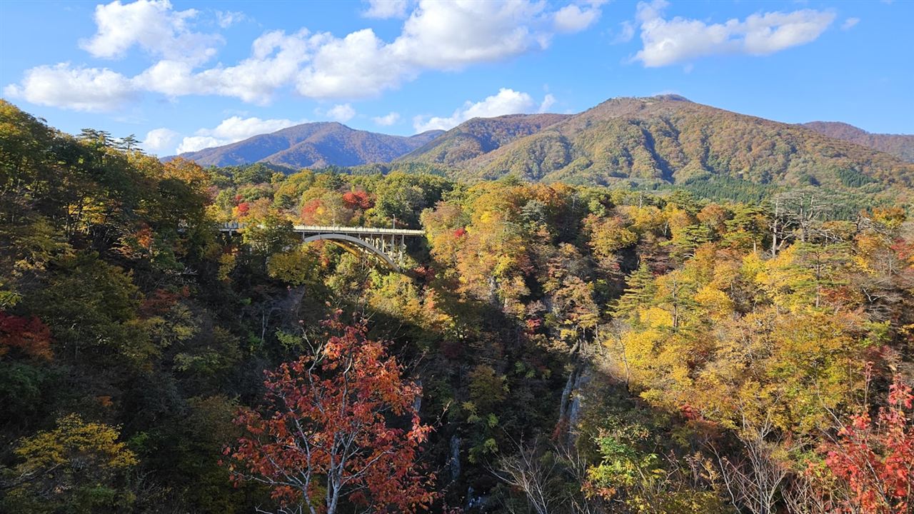 高原を横断する道路と紅葉