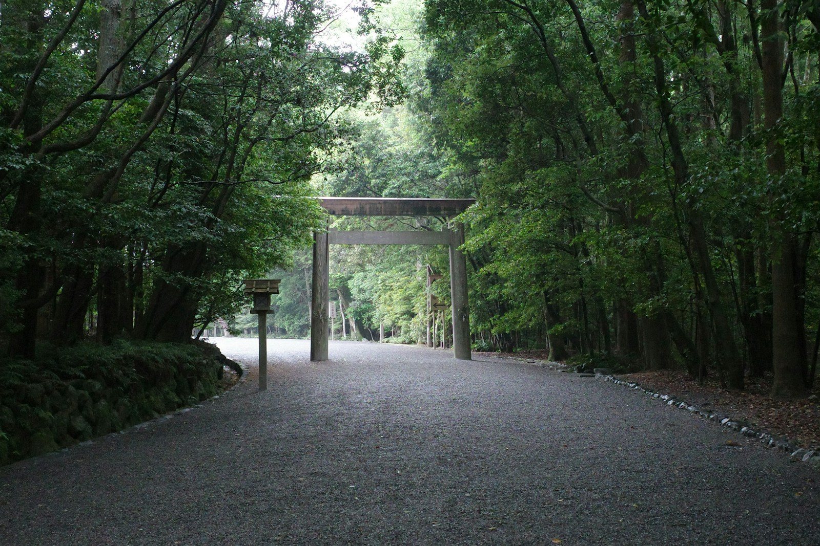 緑の参道に立つ石の鳥居