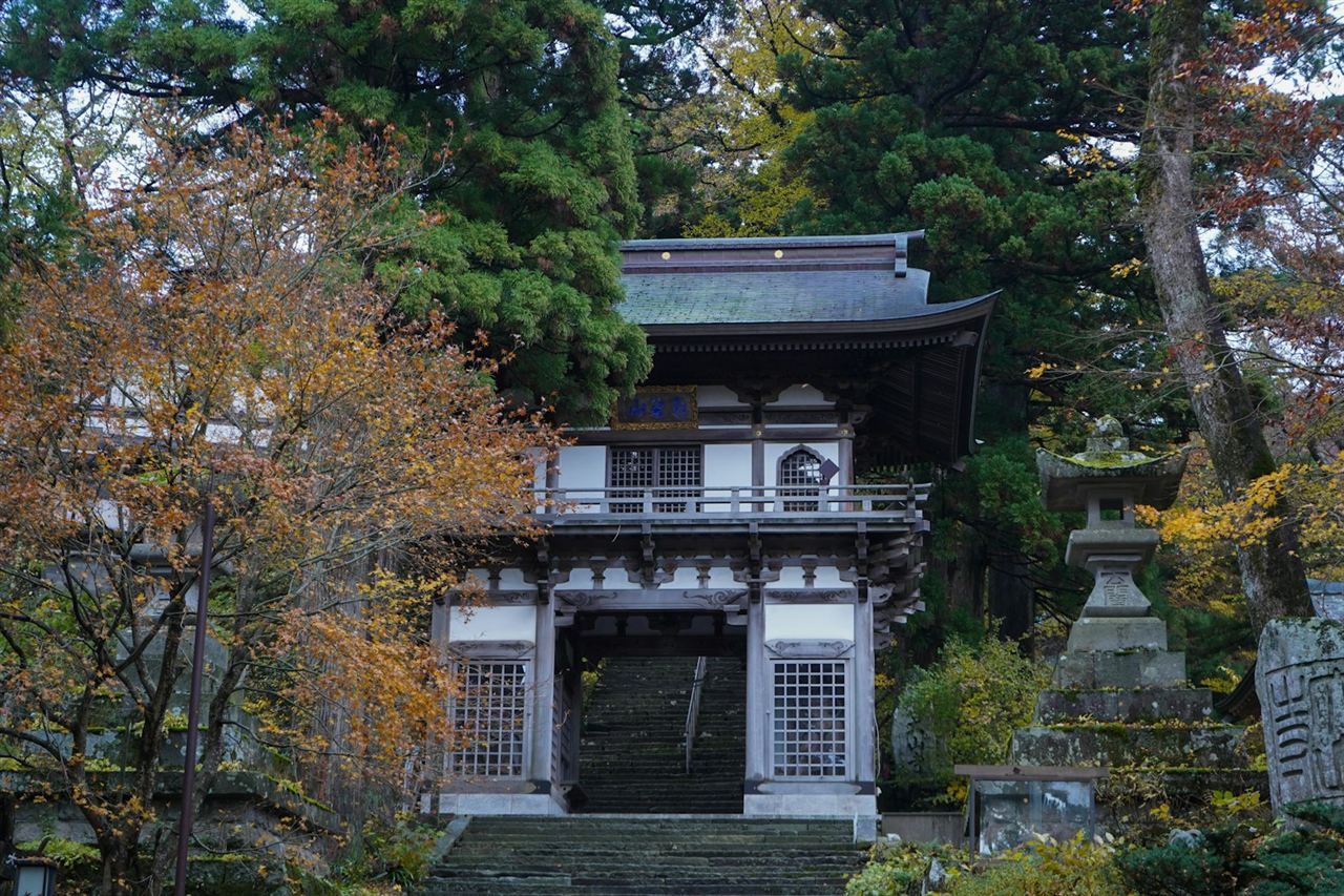 比叡山の紅葉 参道のモミジ