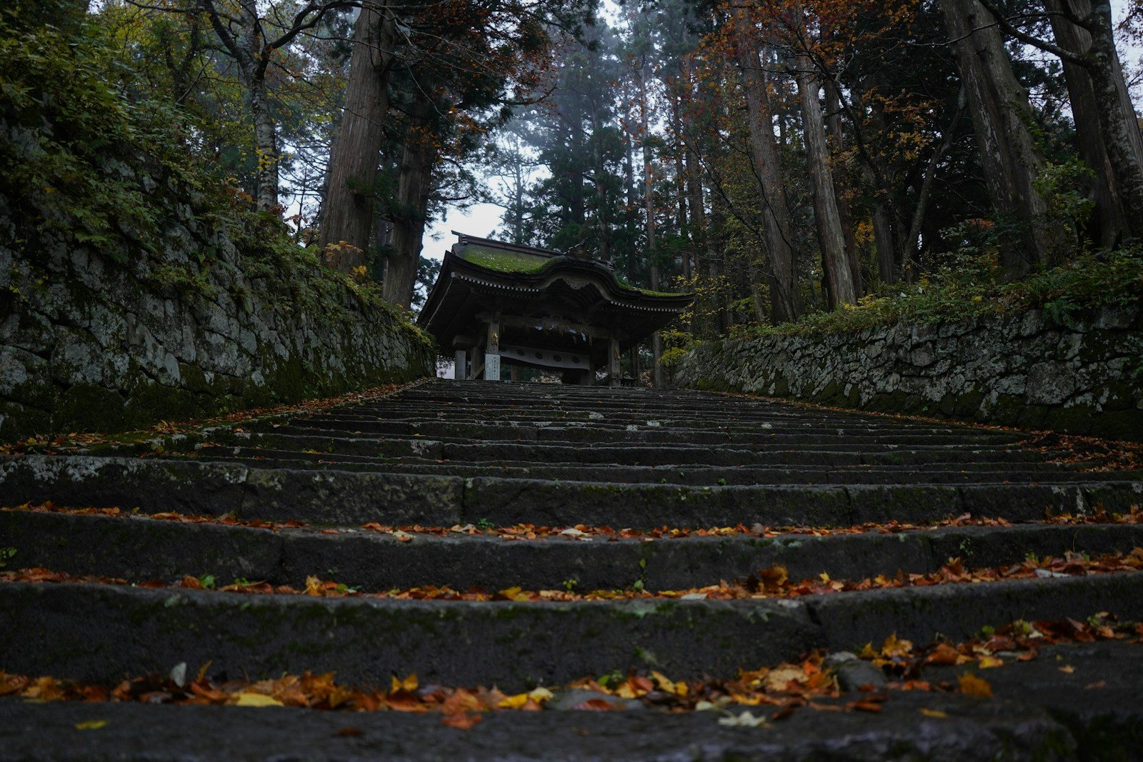 秋の山寺の石段