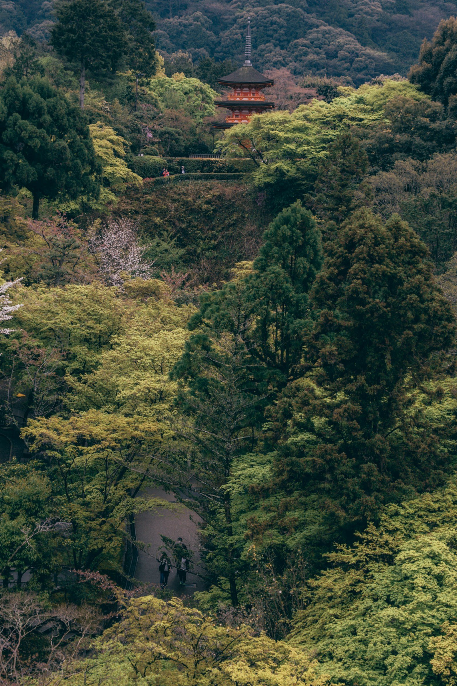 緑の森に建つ朱色の塔
