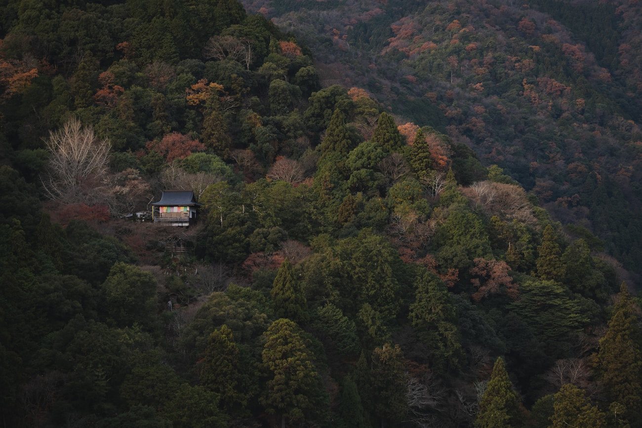 低山の尾根の登山道
