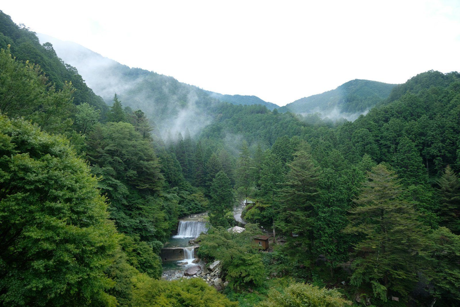 樹林の奥に見える滝と渓流