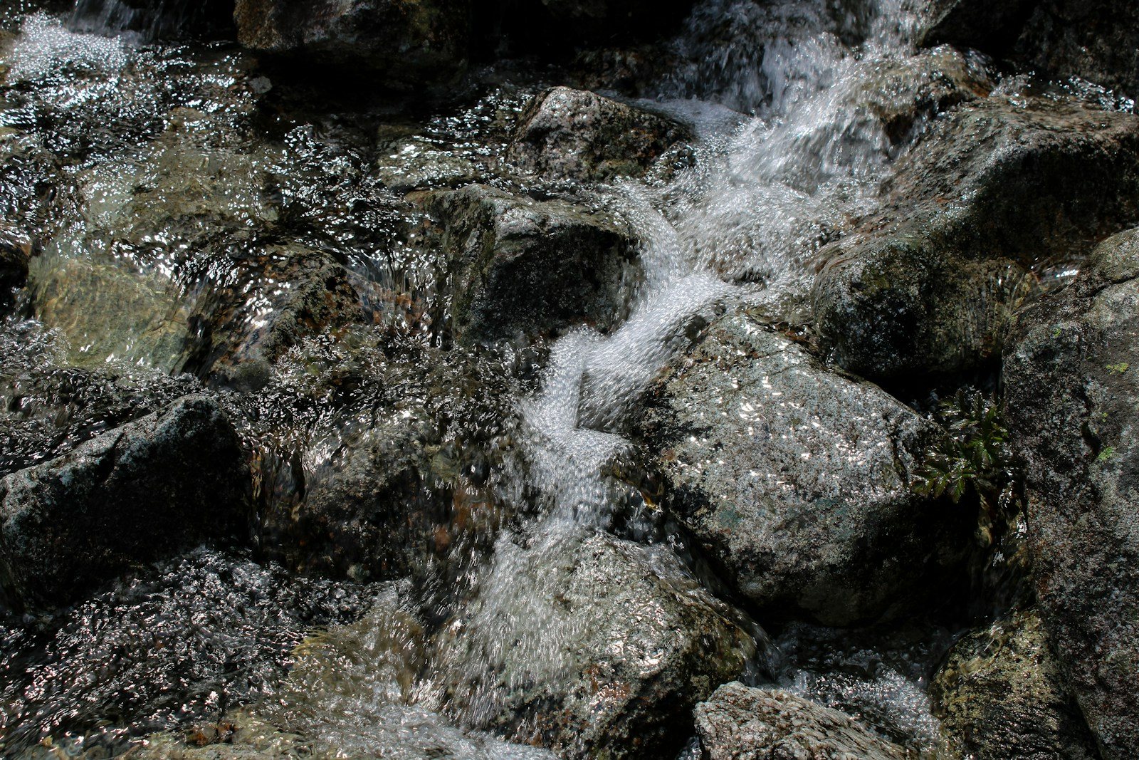 濡れた岩を流れ落ちる水