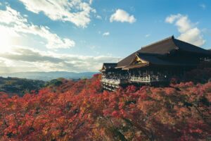 紅葉に囲まれた高野山の伽藍