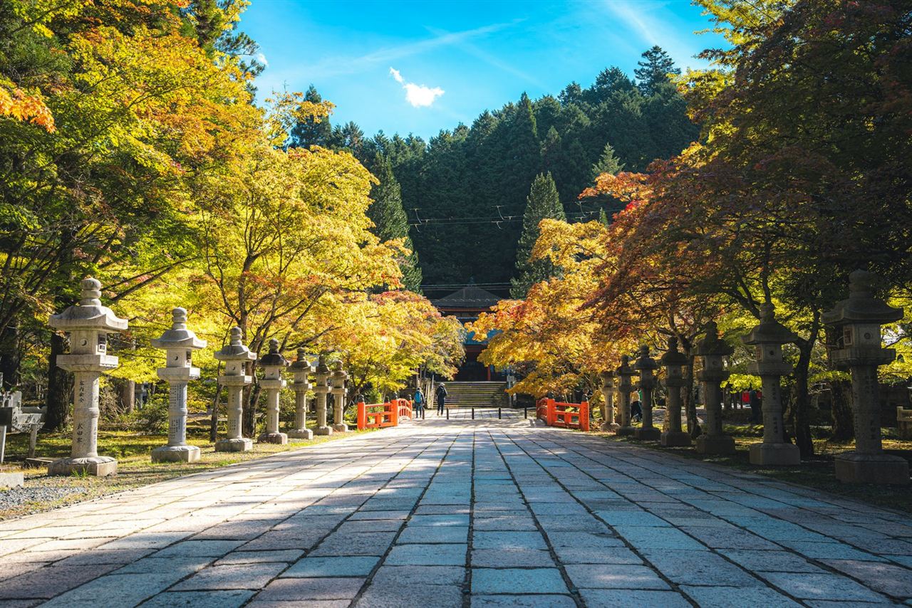 杉木立が続く奥之院の参道