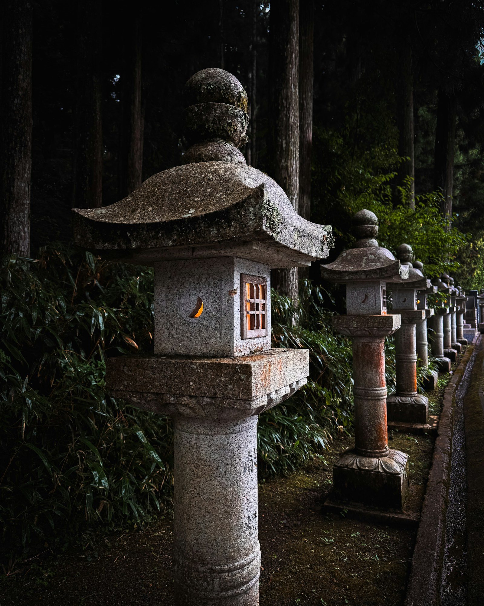 杉木立の参道に並ぶ石灯籠