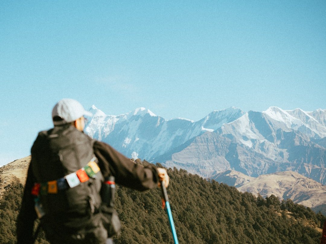 トレッキングポールを持ち高所を歩く登山者