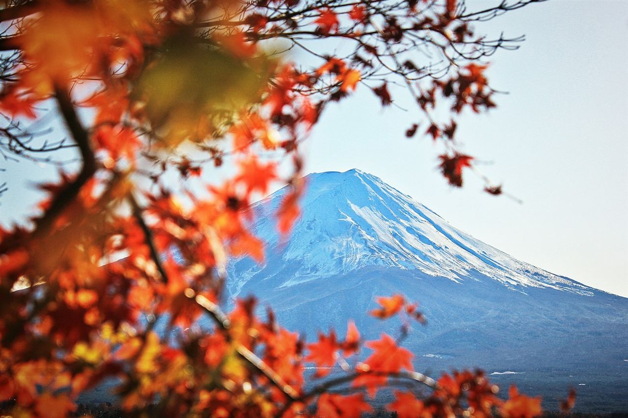栗駒山の紅葉 山肌一面の色づき