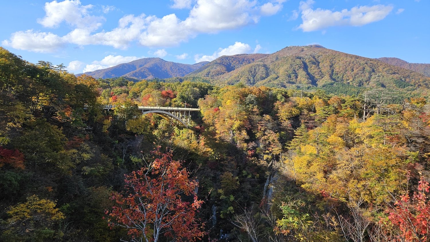 秋の登山道と色づく斜面