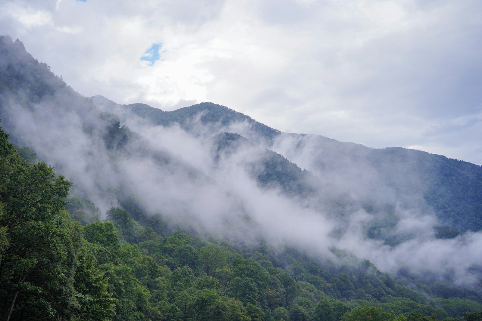霧と低い雲に覆われた山