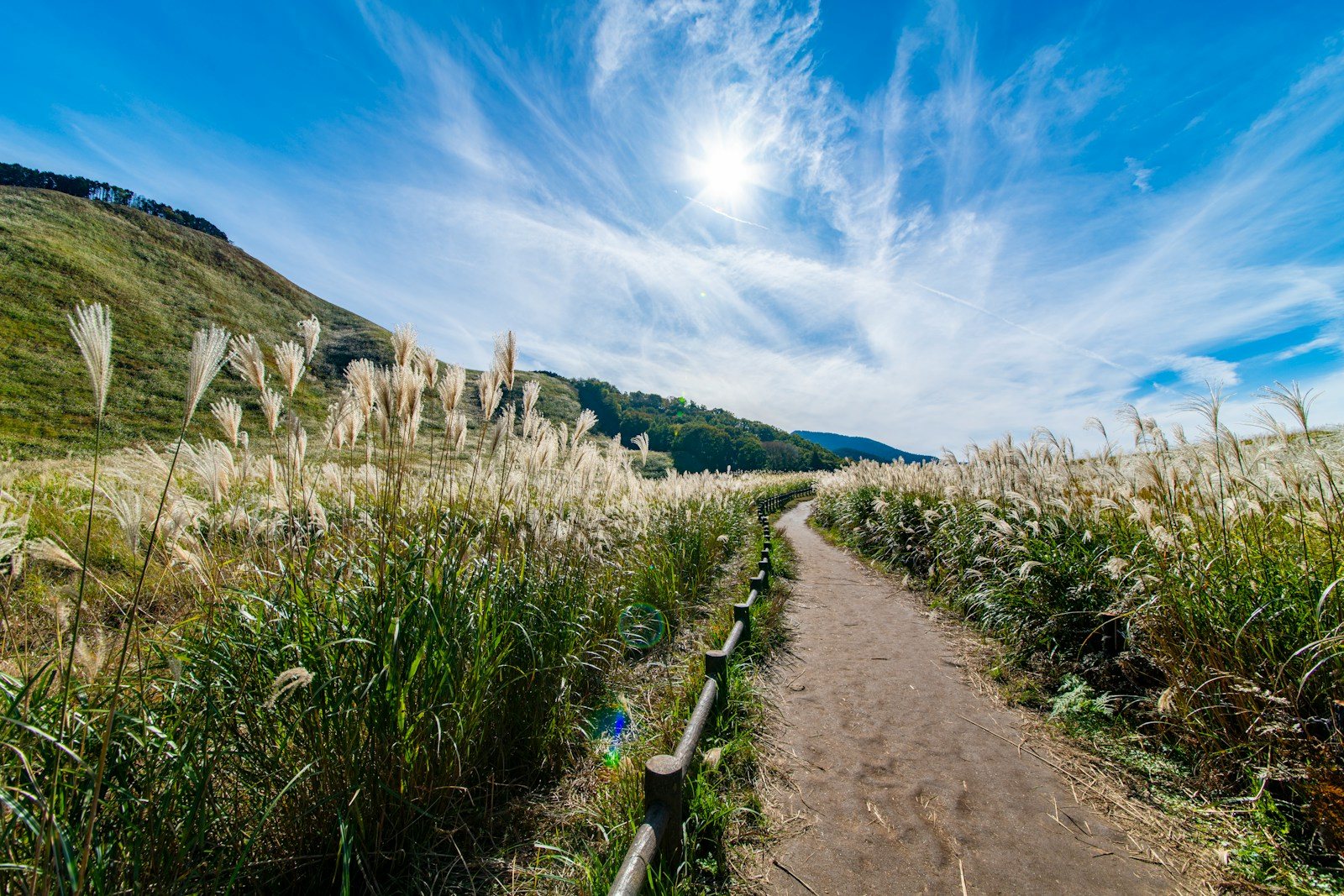 草原の中を抜ける登山道のイメージ
