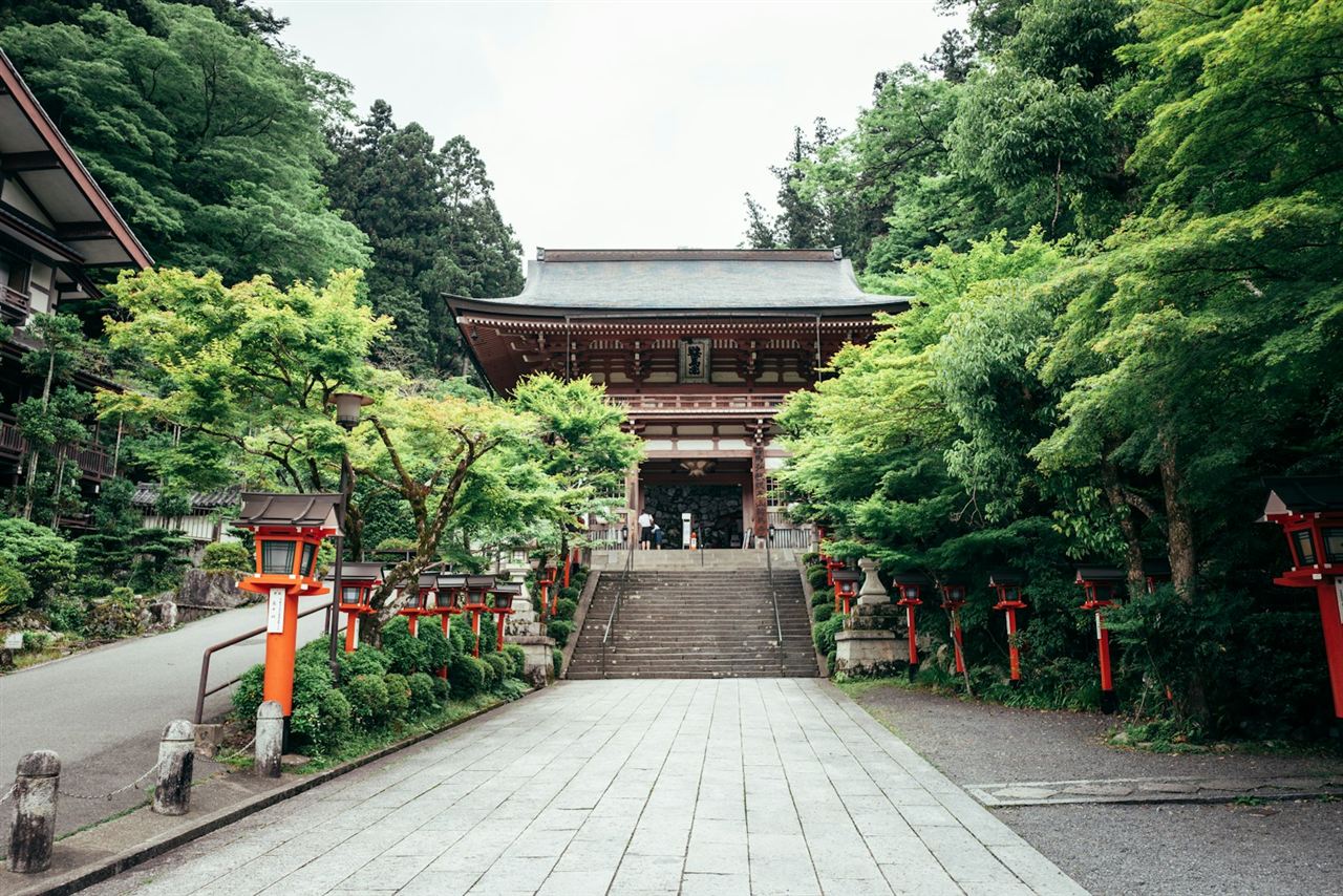 森の中を上る石段と山門