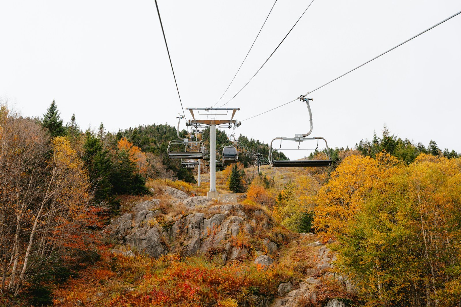 紅葉期の山麓駅周辺をイメージした風景