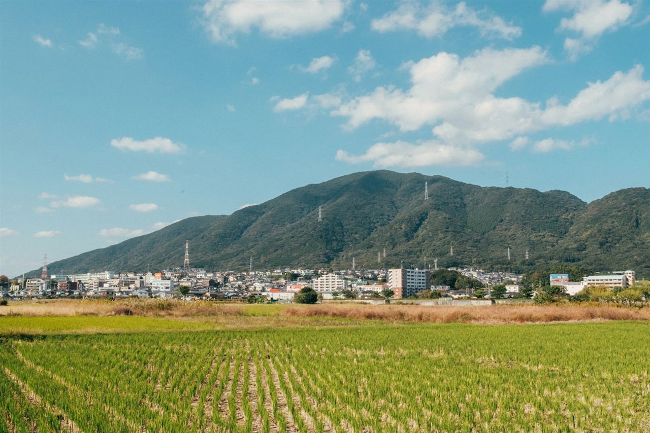 九州の山あいに広がる緑の風景