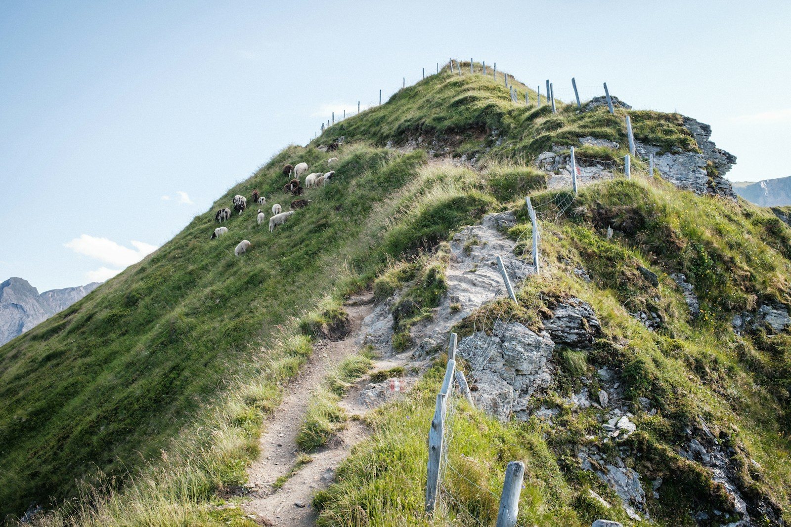 丹沢主脈の稜線をイメージした登山道