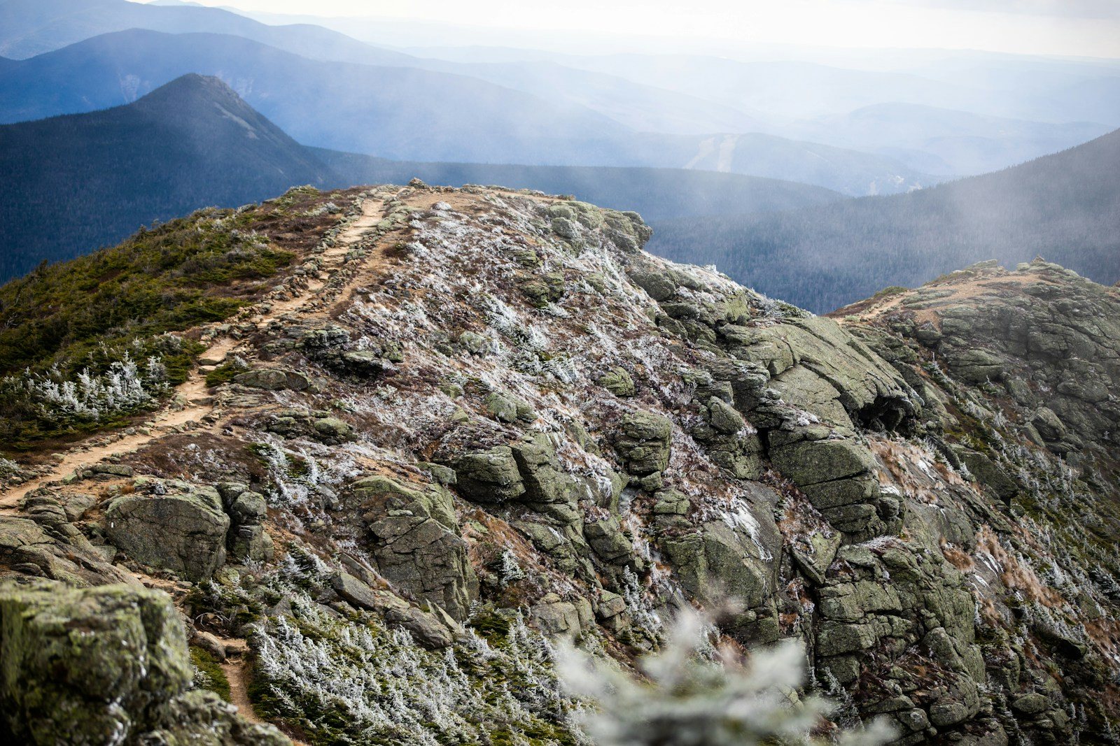 尾根上を延びる登山道のイメージ