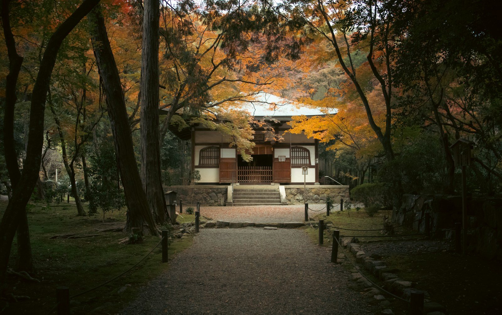 紅葉に囲まれた寺