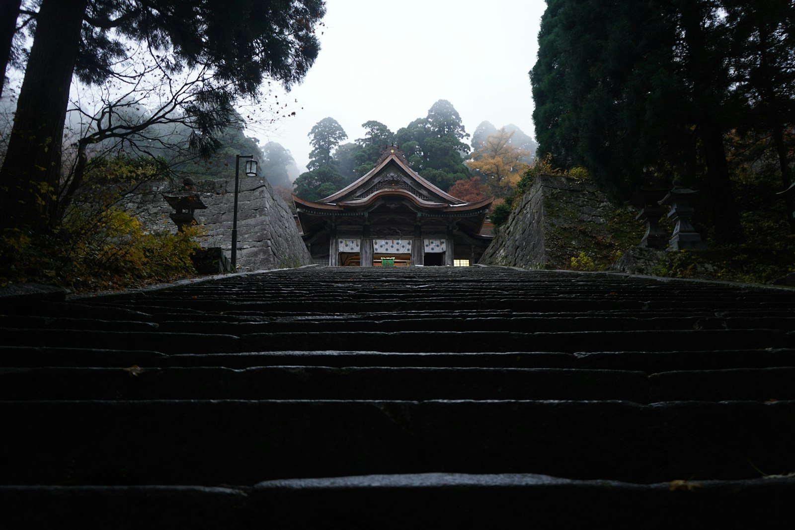 霧の木立に立つ古い寺