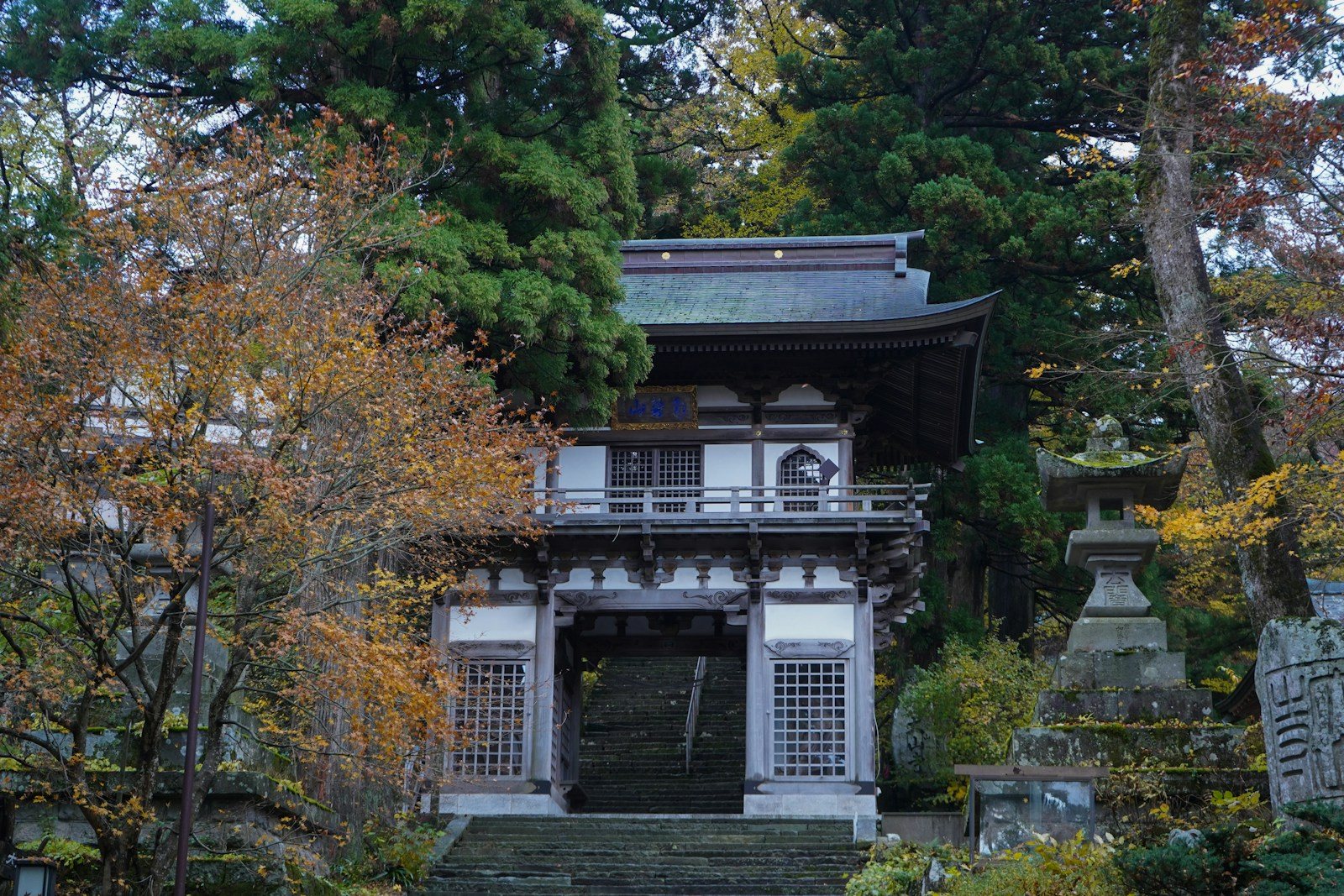 ライトアップされた紅葉