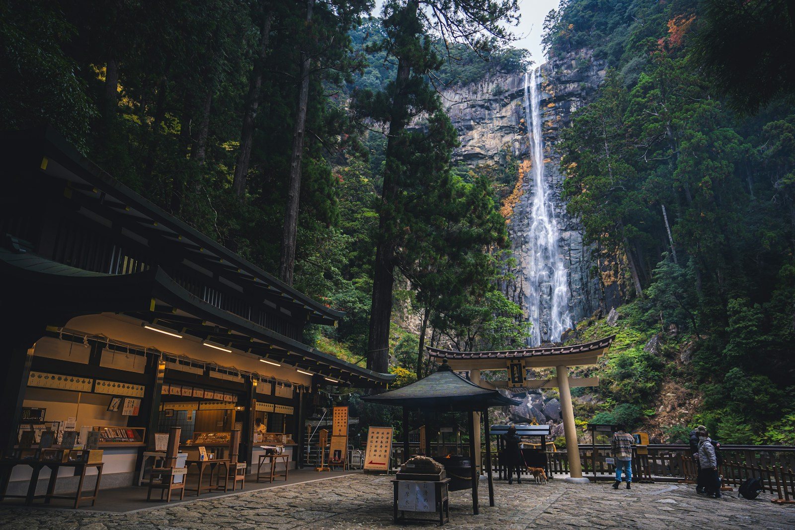 筑波山神社の脇から始まる登山道のイメージ