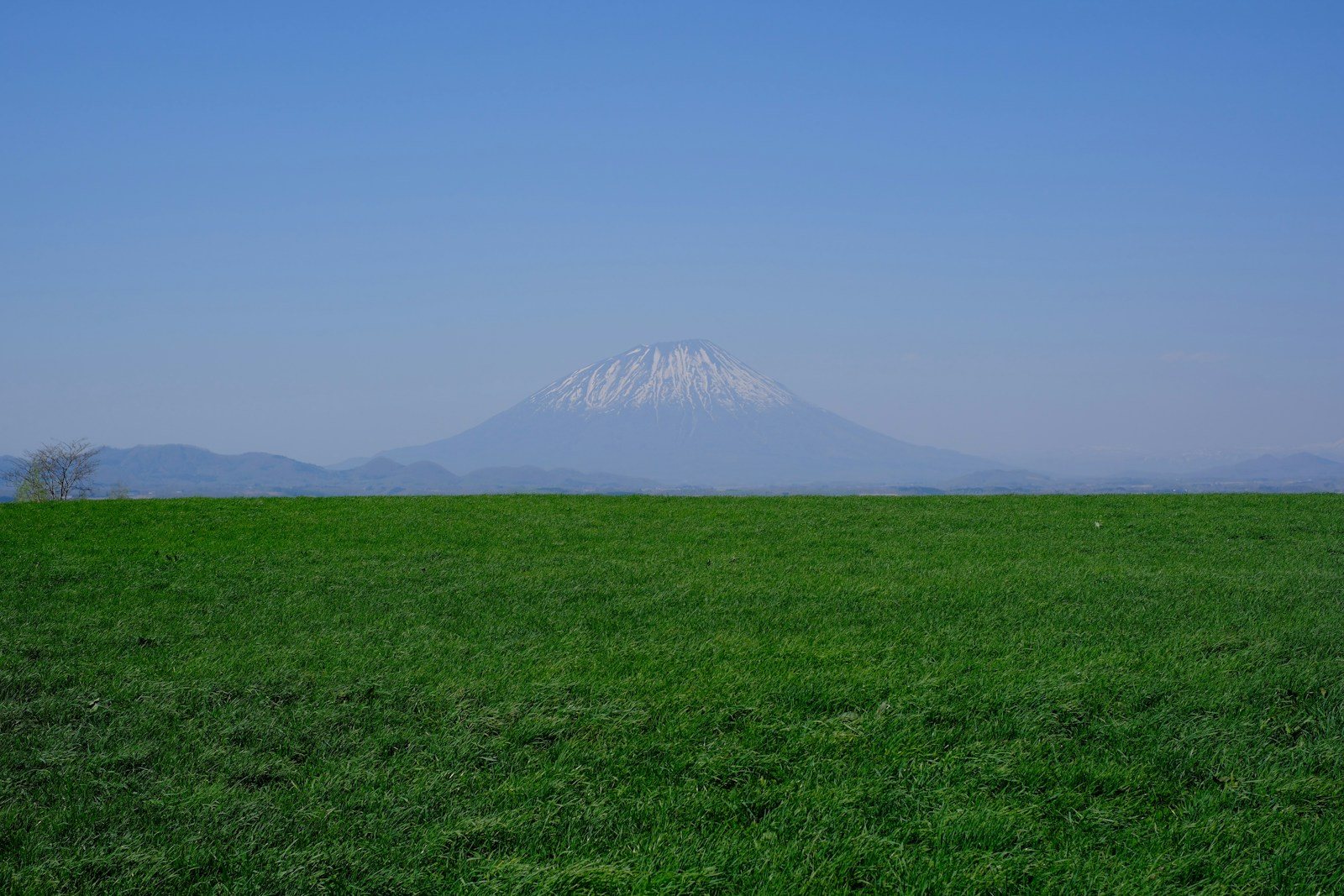 田園の向こうにそびえる羊蹄山
