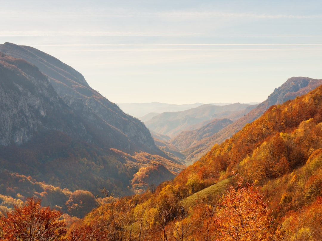 紅葉に染まるブナ林の山並み